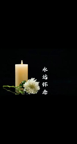 殡葬服务，殡葬服务详解，告别逝去的亲人，从真实的缅怀中开始