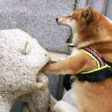超级搞笑的图片，百看不厌！最超级搞笑的图片！
