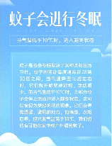 抗寒蚊子，冬季如何抗寒蚊子